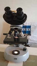 MICROSCOPIO CARL  ZEISS KF2