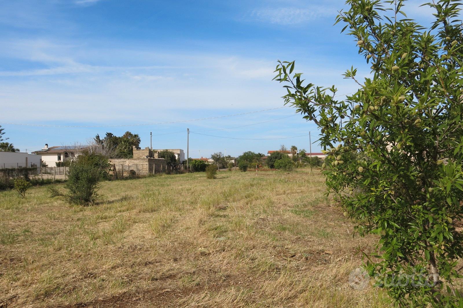 Cinisi (Pa) Terreno Agricolo 2.000mq circa - Vista 3