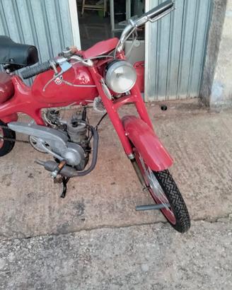 Motom 48