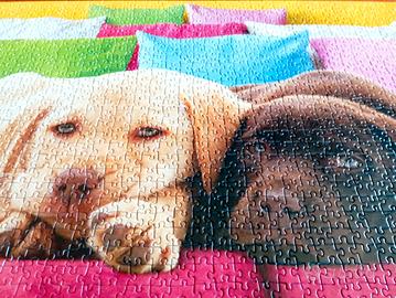 Diversi puzzle 