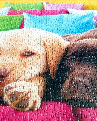 Diversi puzzle 