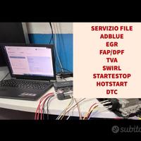 Elimina FAP EGR ad Blue DTC