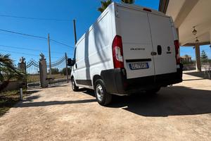 Fiat Ducato 28 2.3 Mjet 120cv + IVA