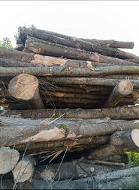 Legna di  Frassino 9.50€ al quintale