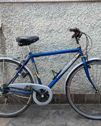 Bicicletta da uomo Citybike 28”