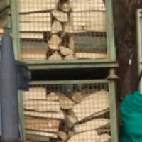 contenitori pieghevoli cassoni ceste 