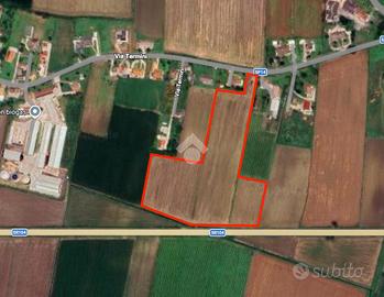 TER. AGRICOLO A CORREZZOLA