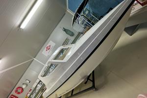 Pilotina cabinata Lowrison 550