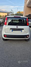 Fiat panda young