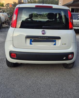 Fiat panda young