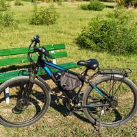 Mountain e-bike Duotts c29