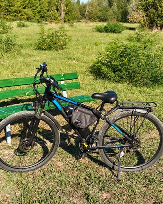 Mountain e-bike Duotts c29