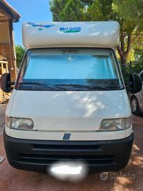 CAMPER mc Louis 261 semintegrale