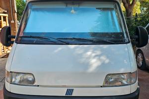 CAMPER mc Louis 261 semintegrale