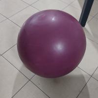 palla da pilates 