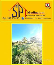 Terreno Agricolo a pochi passi dai Caselli