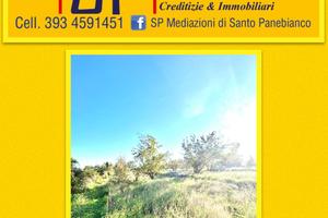 Terreno Agricolo a pochi passi dai Caselli