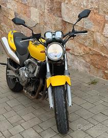 Honda hornet 