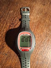 polar rs100