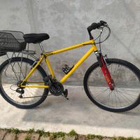 city bike uomo 
