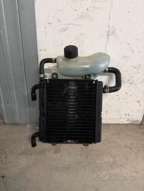 Radiatore originale Aerox/Nitro