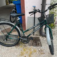 Bici donna