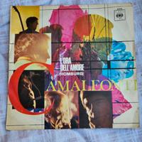 Disco in vinile 45 giri Camaleonti 