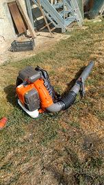 soffiatore  foglie giardino 