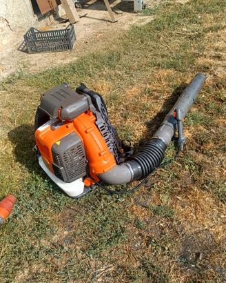 soffiatore  foglie giardino 