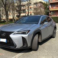 UX 250 hybrid 4WD Design