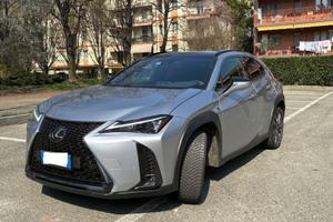 UX 250 hybrid 4WD Design