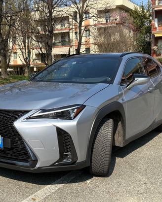 UX 250 hybrid 4WD Design