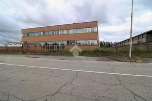 UFFICIO A TRIBIANO