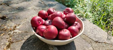 Mele finte da decorazione