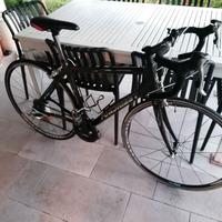 Bdc Fondriest carbonio