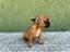 Immagine 6