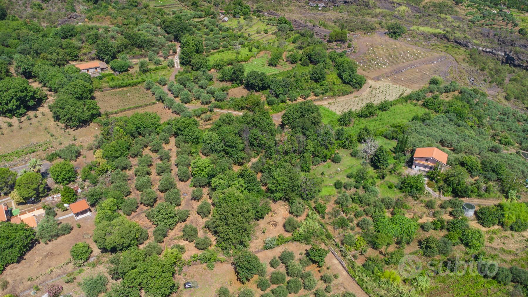 Terreno agricolo - Mascali - Vista 5