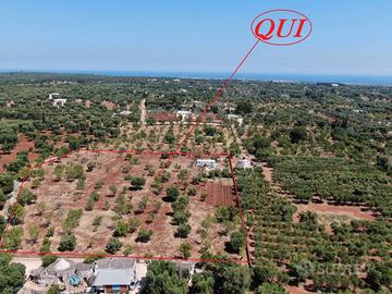 Terreno agricolo in zona Serranova