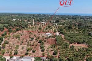 Terreno agricolo in zona Serranova