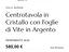 Immagine 6
