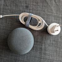 Google home mini