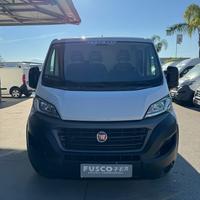 FIAT DUCATO L2-H1 PM-TN 2.3 MTJ 120CV - 06/2021