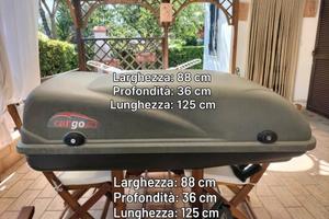 baule da tetto auto