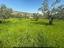 Immagine 12