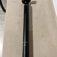 Reggisella specialized