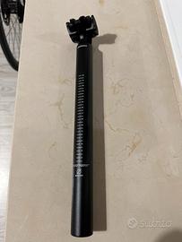 Reggisella specialized