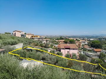 Terreno finocchio