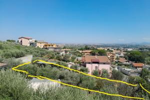 Terreno finocchio
