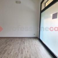 Negozio Solesino [Cod. rif 3297625ACG]