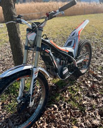 Trial Scorpa 250